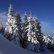 Winterimpression Saalachtal