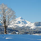 Winterlandschaft Kitzbühlerhorn 